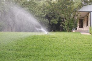 Sprinkler installation Buffalo