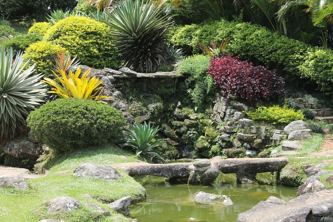 landscape buffalo landscaping buffalo ny service